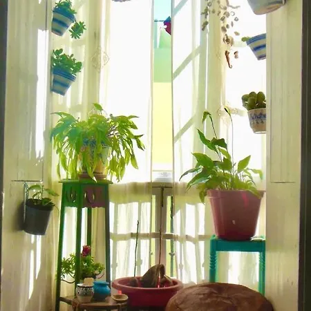 La Pepa Homestay szállás